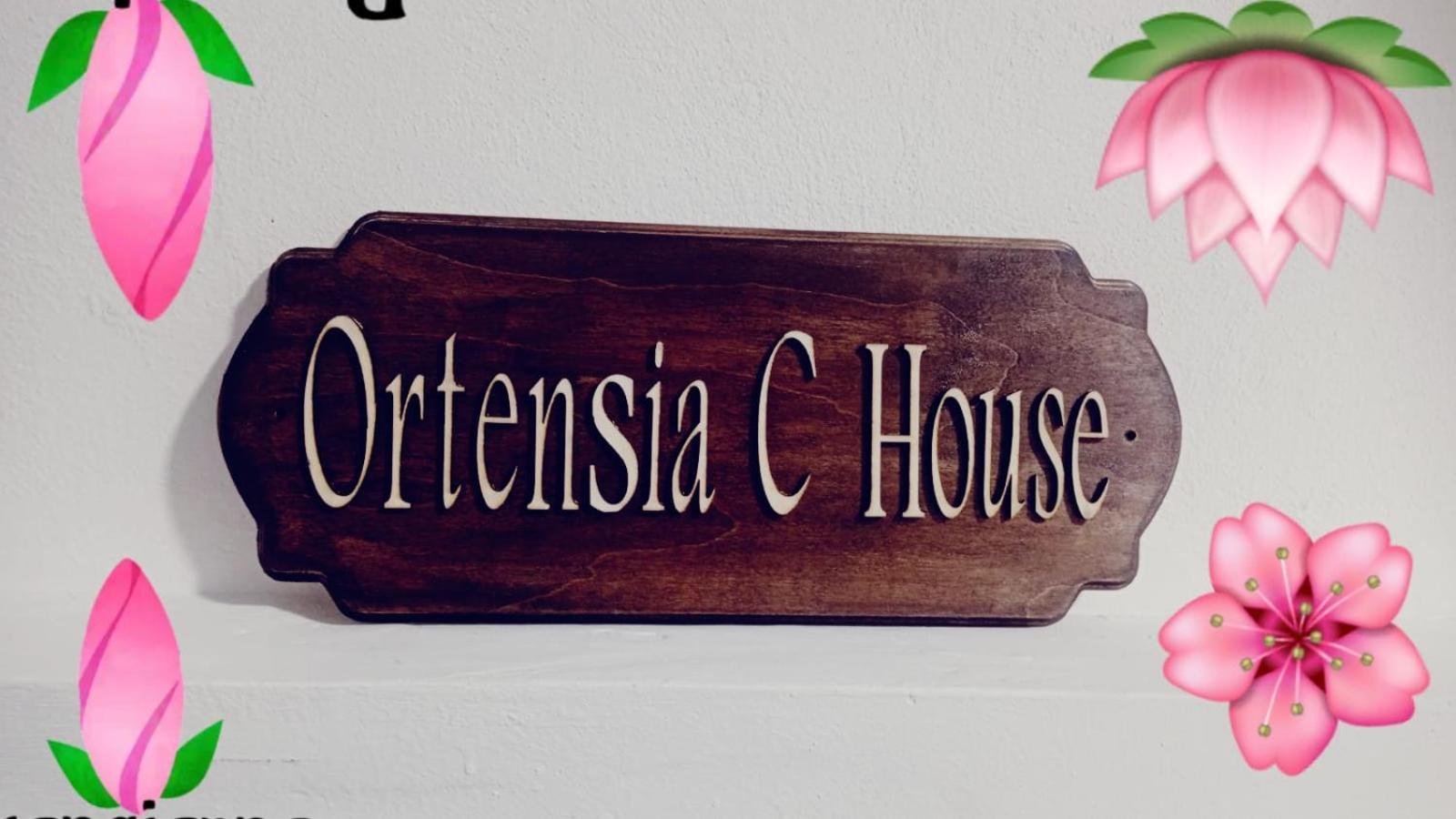 Вилла Ortensia C House Катания Экстерьер фото